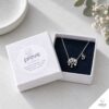 27-dentro-zois-gouri-kolie-asimi-box